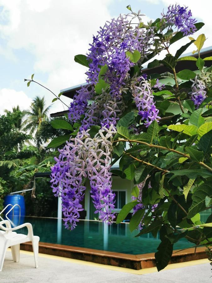 帕干岛 桑维特村宾馆旅舍 外观 照片